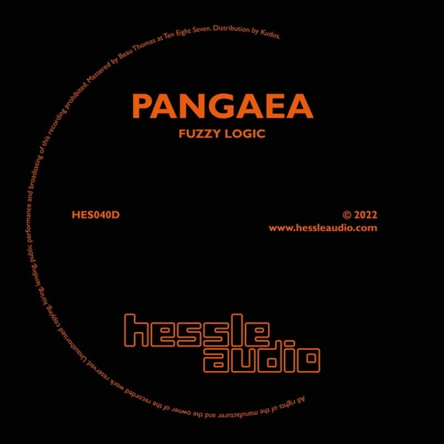 Pangaea - Fuzzy Logic [HES040D1]